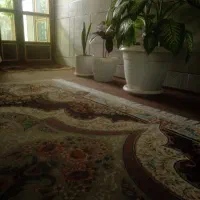 گل داریم چ گلی