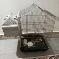 قفس