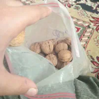 گیاهان دارویی