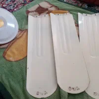 پنکه سقفی
