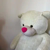 خرس بزرگ نو