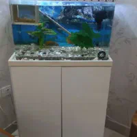 اکواریوم 40 در 60