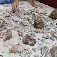 سنگ شجر  اماتیس منظره و ... .اول کارمه