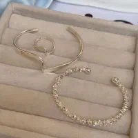 بدلیجات شیک