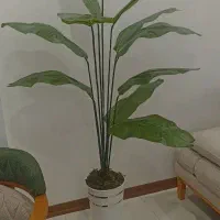 درختچه مصنوعی