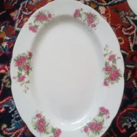 دیس پلویی