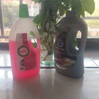 شوینده بهداشتی