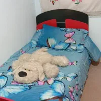 تخت|تخت و صندلی بچه|محلات, |دیوار