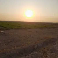 فروش-زمین-کشاورزی-توافقی