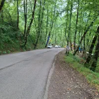 طبیعت گردی