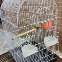 قفس پرنده