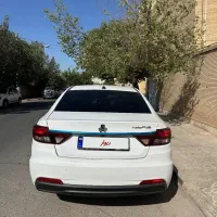 شاهین سفید