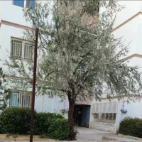 بکارگیری نگهبان مجتمع مسکونی