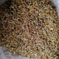 گرده گل
