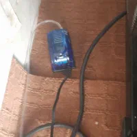 آکواریوم|ماهی|خمینی‌شهر, |دیوار