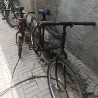 فروش چند عدد دوچرخه
