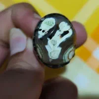 سلیمانی فعال