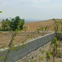 زمین مسکونی در نمین