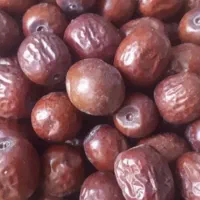 عناب ممتاز بیرجد
