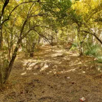 فروش زمین دو نبش مزرعه حسن سانیج