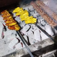 کباب زن حرفه ای