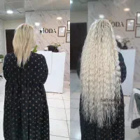 بافتمو اکستنشنمو افرومکزیکی موخوره گیری آموزش کرلی