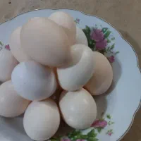 تخم مرغ گلین