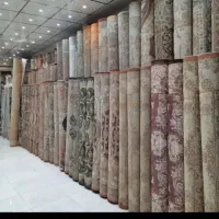 قالی تمیز در حد