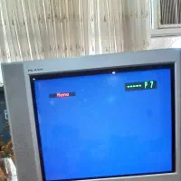 تلویزیون