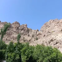 گروه تور داریم