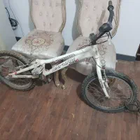 دوچرخه حرفه‌ای تریال