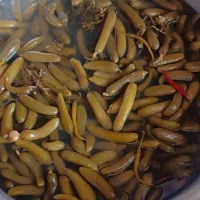 ترشی خیارشور
