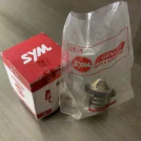 ترموستات