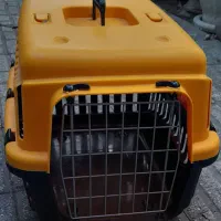باکس گربه