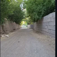 مرغ