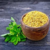 فروش تخم شنبلیله