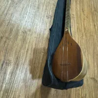 سه تار/۳تار/ستار/سهتار امضا دار+کیف