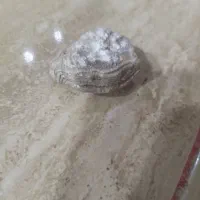 سنگ|جواهرات|چگنی, |دیوار