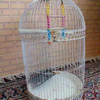 قفس پرنده