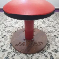قارچ دوجفتی خرک ژیمناستیک