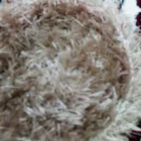 اسکاج ولیف