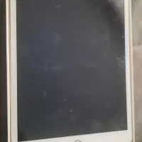 معاوضه با پرنده