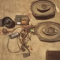 دزد گیر باند باریک قفس پرنده