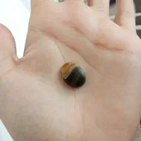سنگ سلیمانیه اصل