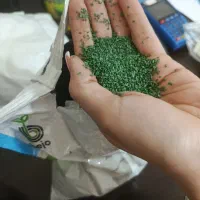 یونجه نیک شهری بغدادی مایوپا