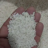 برنج هاشمی دره رود