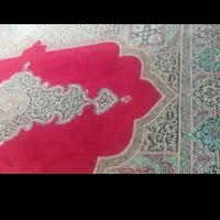 قالی ۱۲متری در حد نو