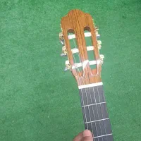 گیتار ak30 اریا