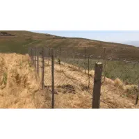 پانسیون سگ و اسب