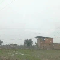 نگهبان زمین و باغ